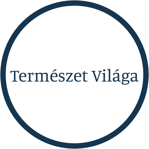 termvil logo