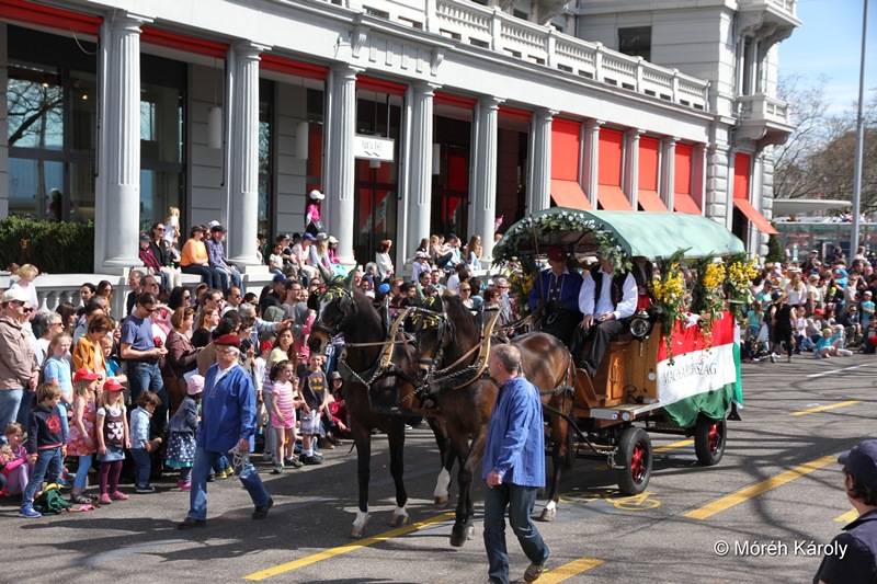 gyerekvonulas 15 053