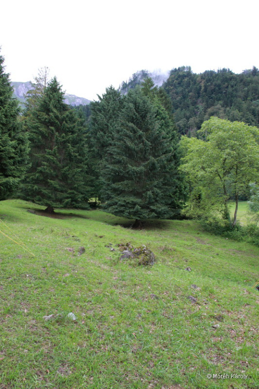 maienfeld 16 077