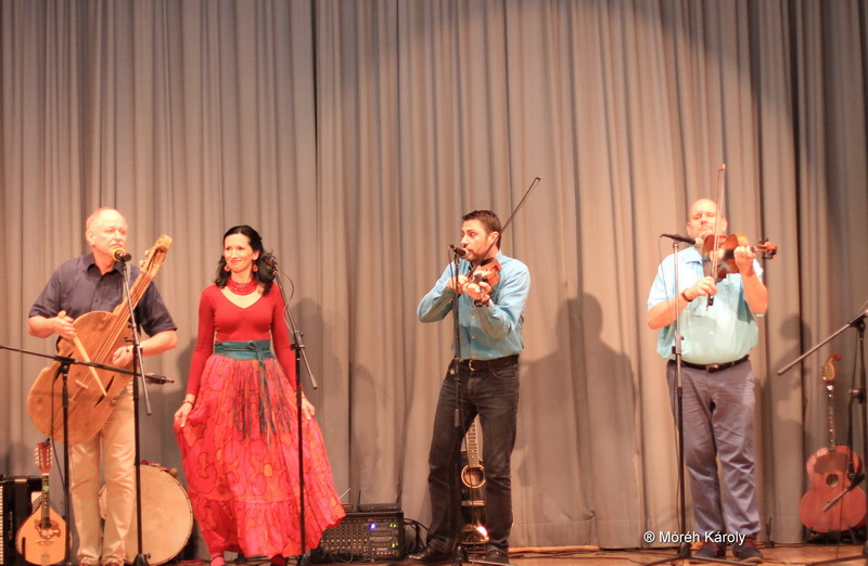kolompos 12