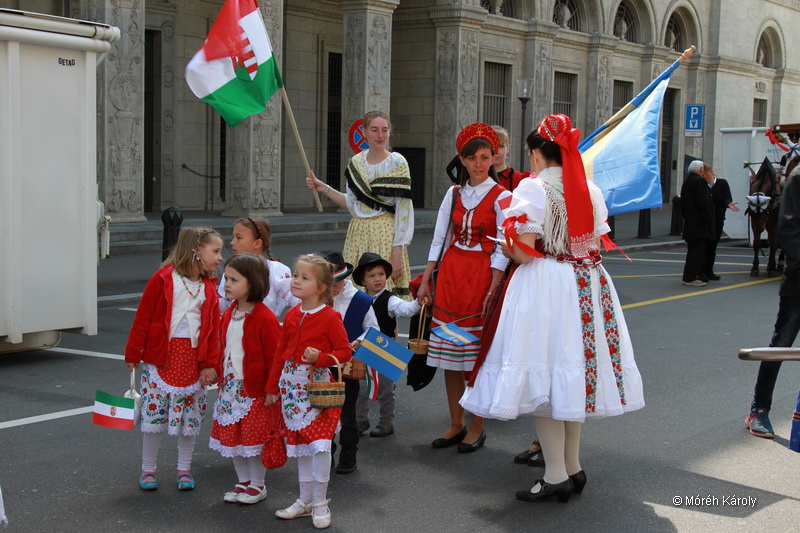 6eleute 17 003
