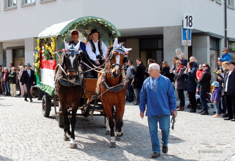 6eleute 17 014
