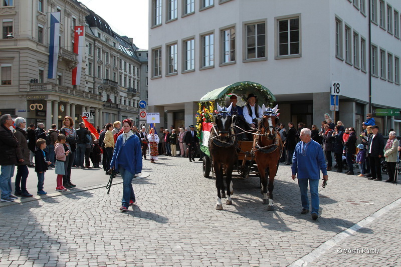 6eleute 17 015