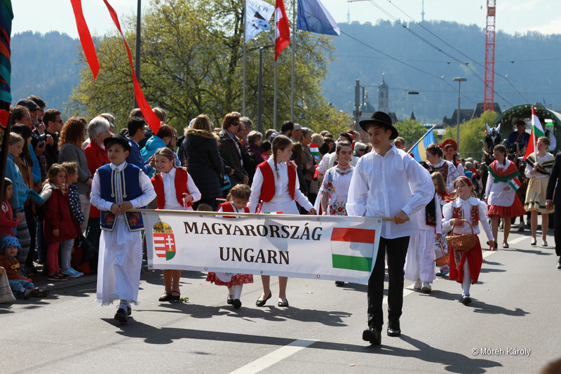 6eleute 17 034