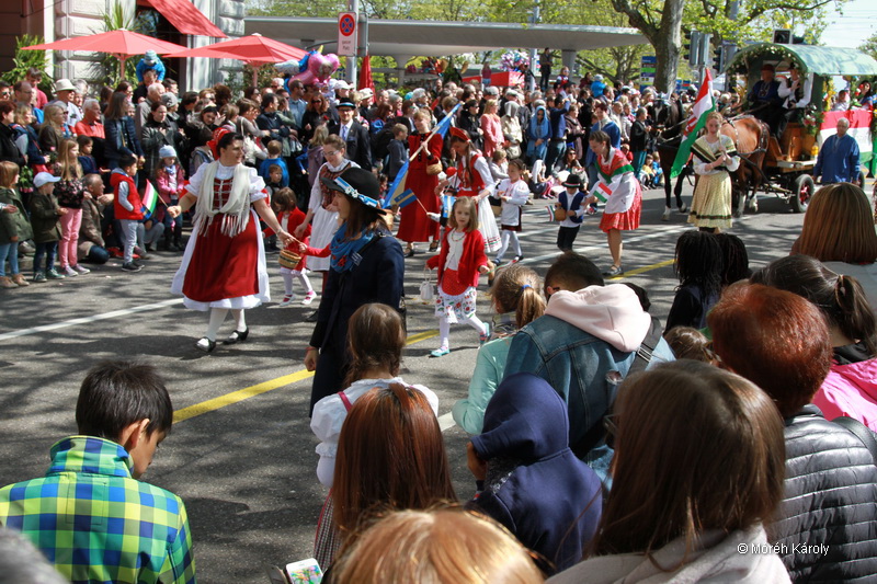 6eleute 17 042