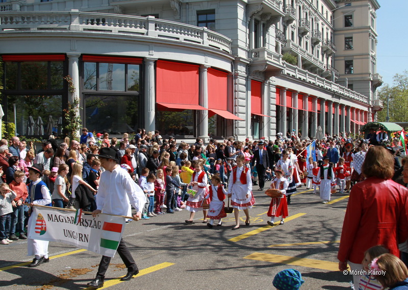 6eleute 17 045