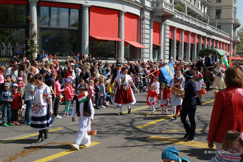 6eleute 17 048
