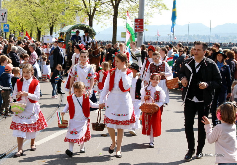 6eleute 17 050