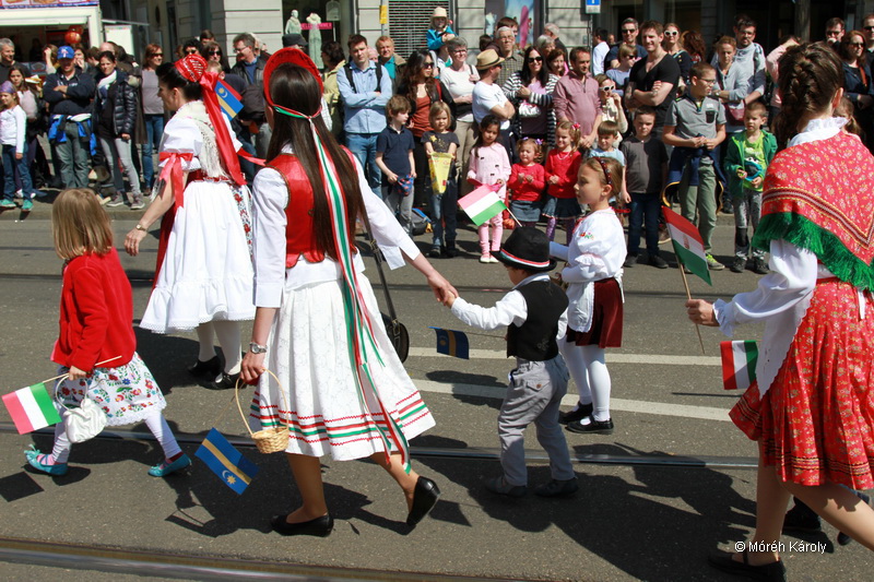 6eleute 17 052