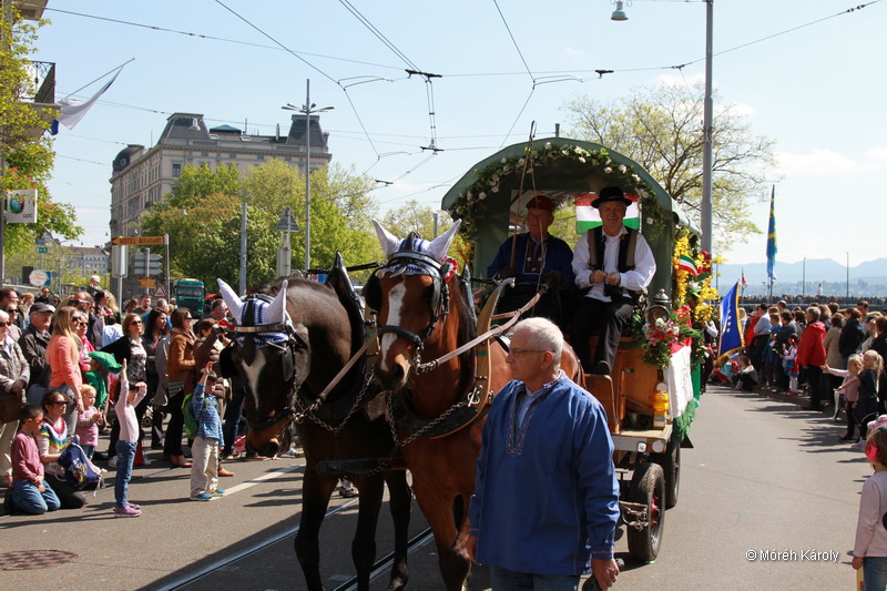 6eleute 17 053