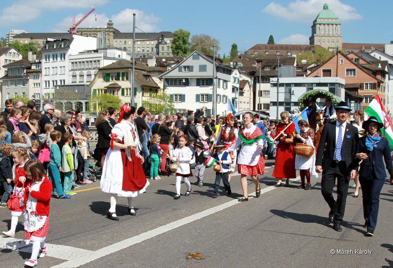 6eleute 17 069