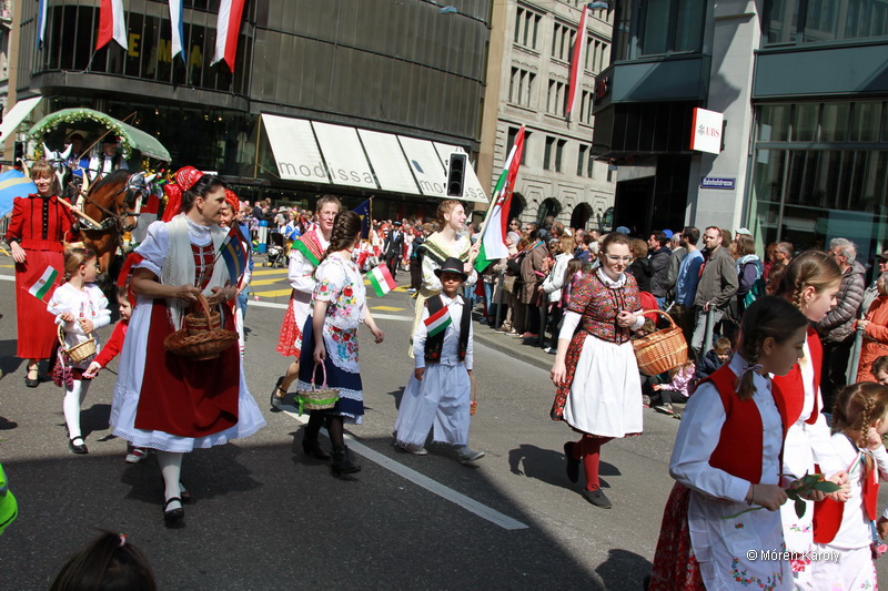 6eleute 17 076