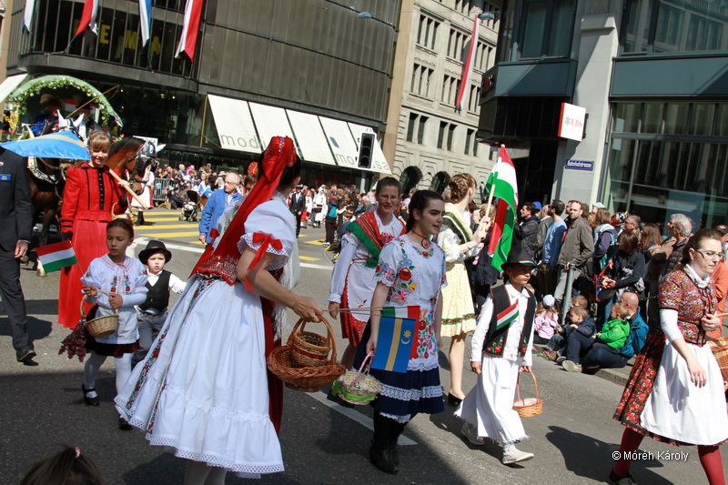6eleute 17 077