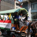 6eleute 17 079