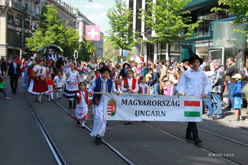 6eleute 17 080