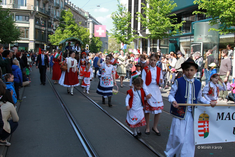 6eleute 17 081