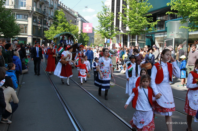 6eleute 17 082