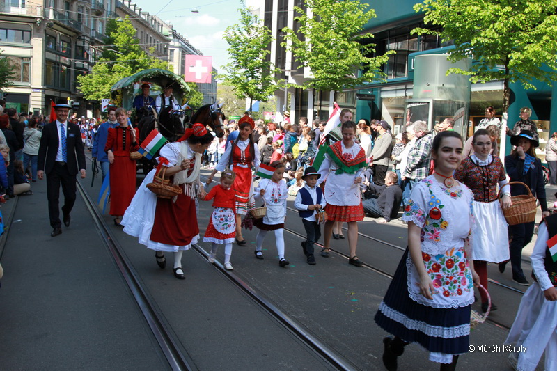 6eleute 17 083
