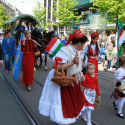 6eleute 17 084