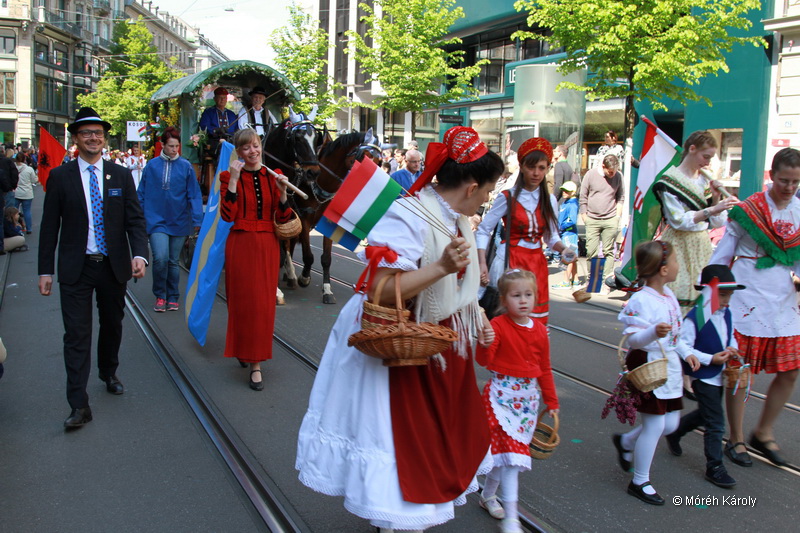 6eleute 17 084