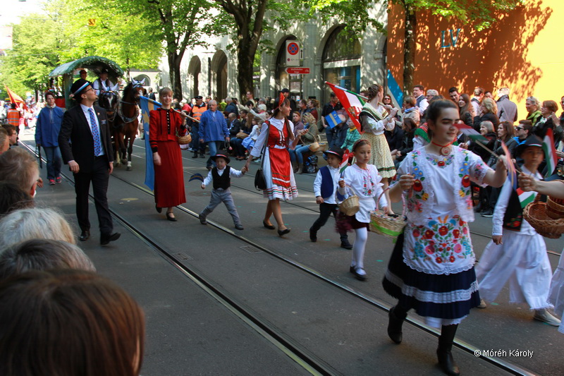 6eleute 17 087