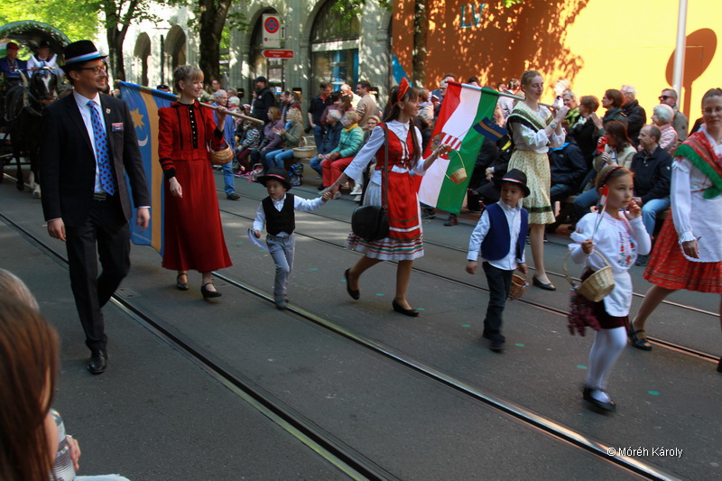 6eleute 17 088