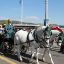 6eleute 17 115