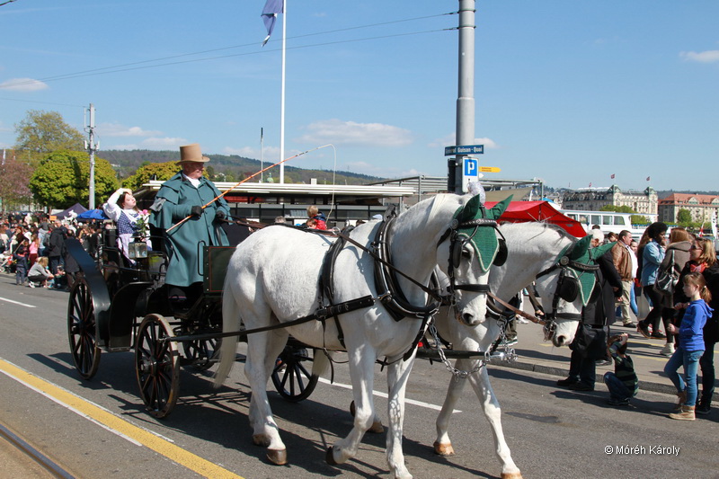 6eleute 17 115