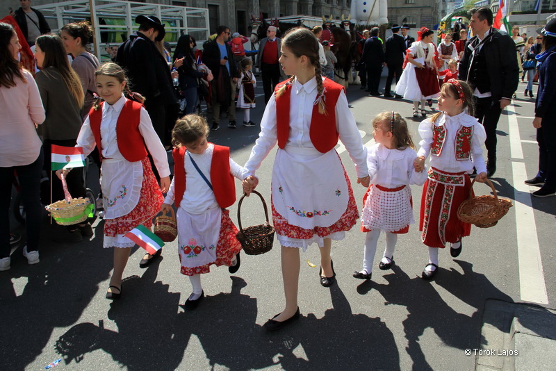6eleute 17 140