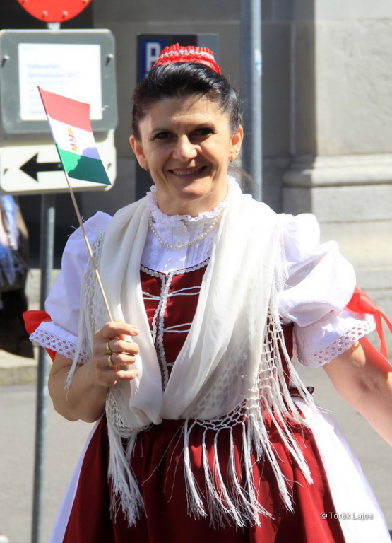 6eleute 17 149