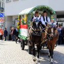 6eleute 17 151