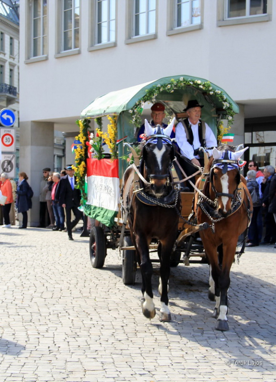 6eleute 17 151