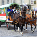 6eleute 17 152