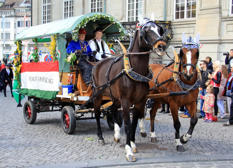 6eleute 17 152
