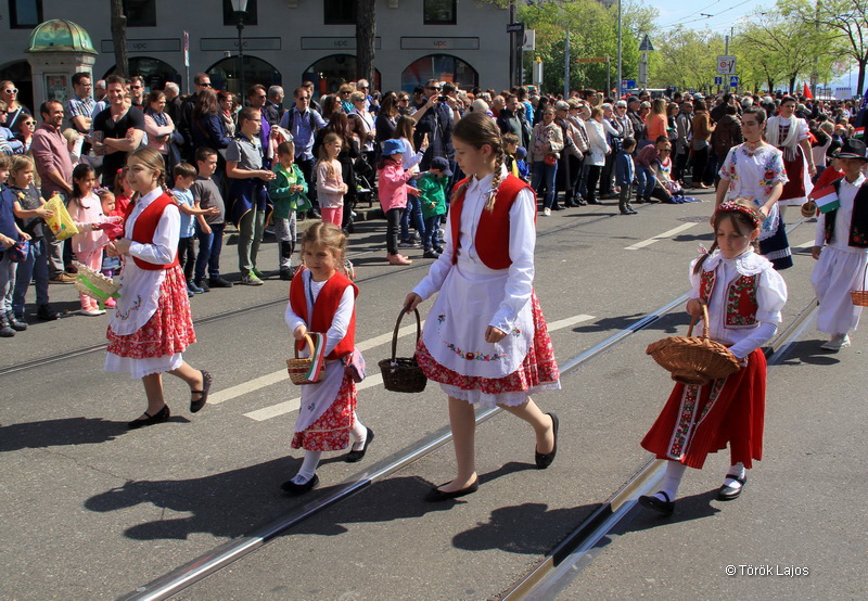 6eleute 17 161