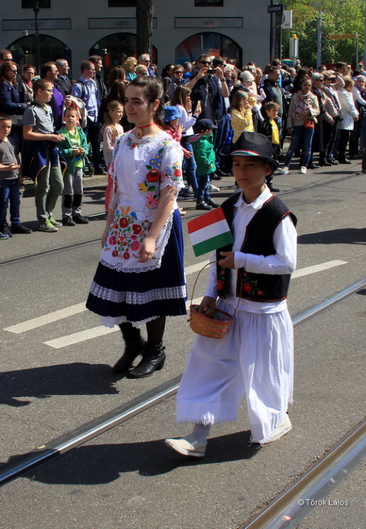 6eleute 17 162