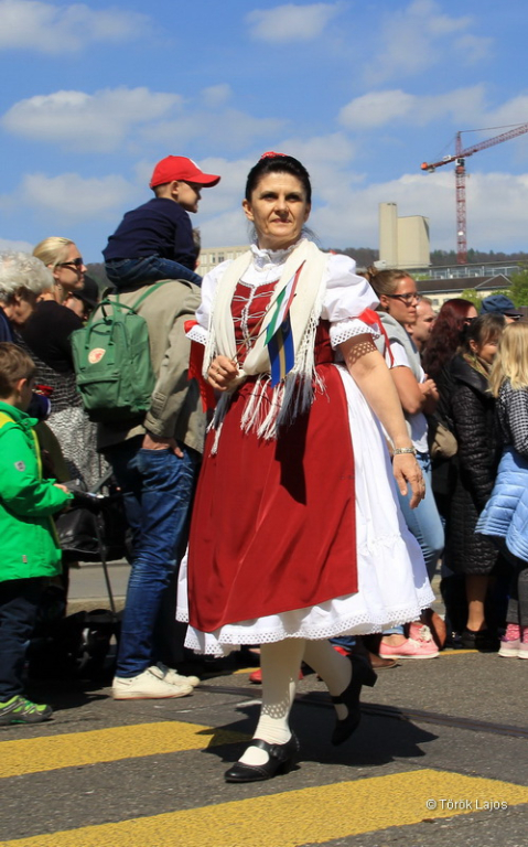 6eleute 17 166