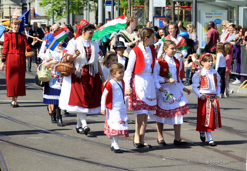 6eleute 17 180