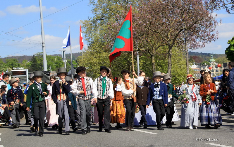 6eleute 17 186