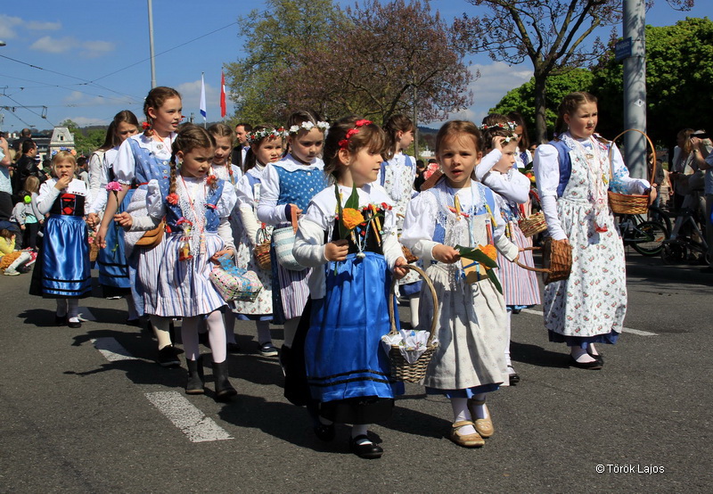 6eleute 17 204