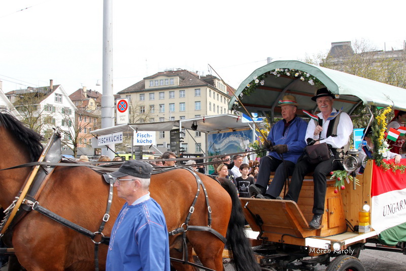 gyerekvonulas 18 071
