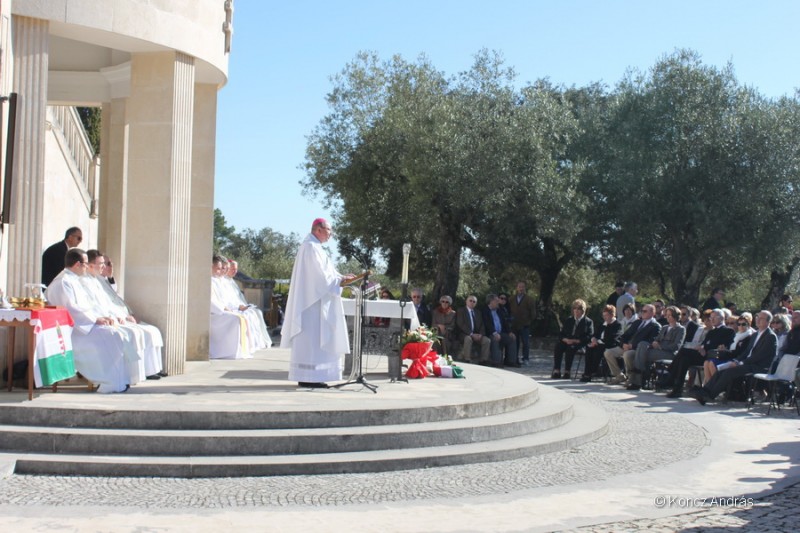 fatima 21