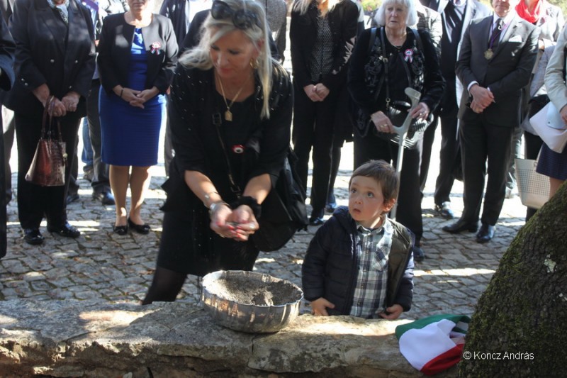 fatima 29