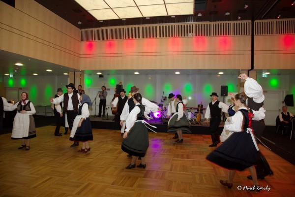 mbal 20 113