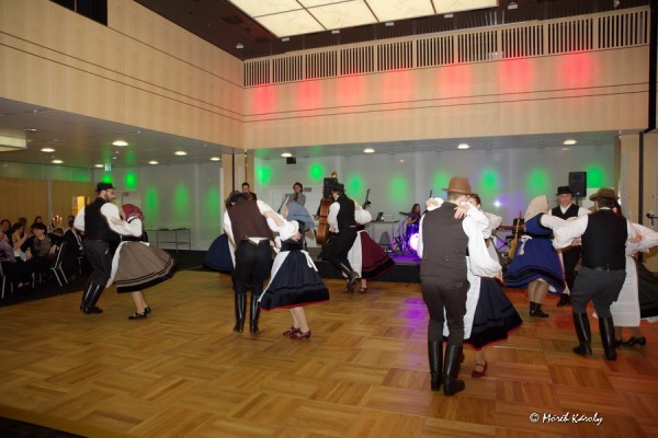 mbal 20 116