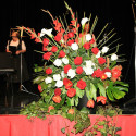 marcius2012 08
