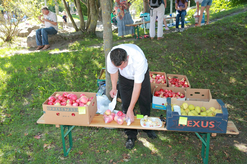 mhnap 2011 092